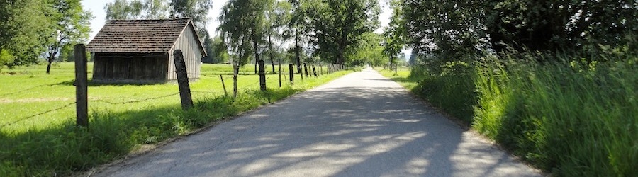 Hintergrund