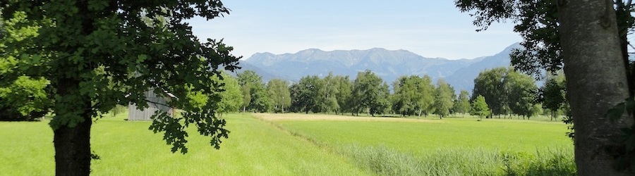 Hintergrund
