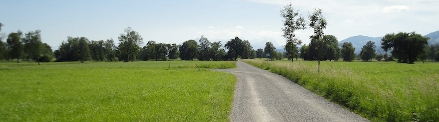 Hintergrund